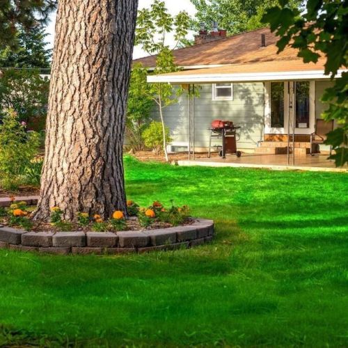 Our huge backyard, offers an ample room to play, explore, and create lasting memories. Relax under the shade of towering trees or indulge in outdoor activities.