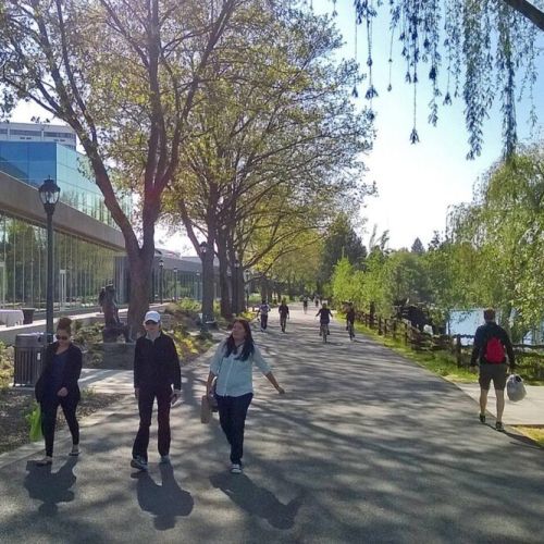 Centennial Trail-Downtown. The Spokane River Centennial Trail is a 37-mile (60 km) paved trail. Enjoy a nice walk, jog, or skate along the river flowing through downtown or rent kayaks or tubes for a fun summer adventure.