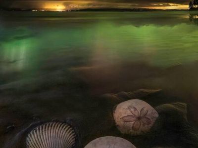 Beachcombing is a favorite pastime on this private beach.