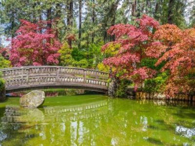 Manito Park is a 90-acre public park with an arboretum, Japanese garden, botanical gardens, and conservatory. 1.6 miles from Downtown Bliss take about 5 minutes to drive.