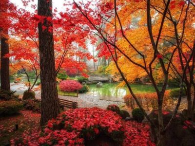 Discover tranquility and serenity at the Nishinomiya Tsutakawa Japanese Garden, a hidden gem in Spokane. 15 minutes away from Songbird Cottage