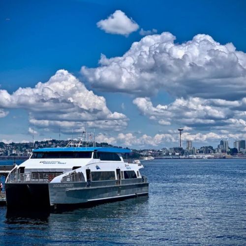 West Seattle Taxi-10 min water taxi to downtown Seattle-3.2 mi