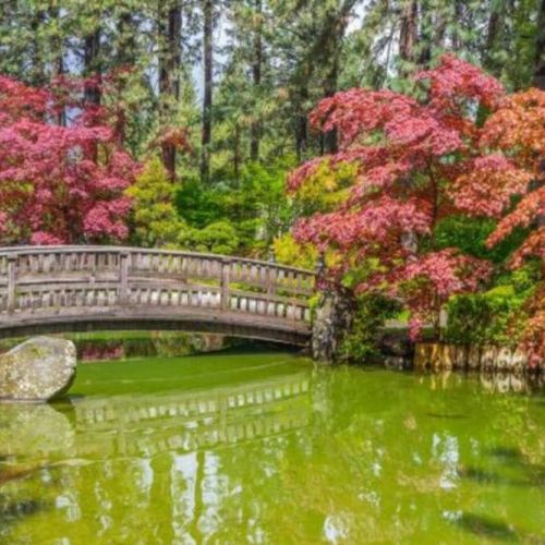 Manito Park is a 90-acre public park with an arboretum, Japanese garden, botanical gardens, and conservatory. 1.6 miles from Downtown Bliss take about 5 minutes to drive.