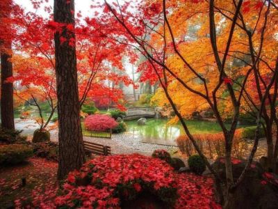 Discover tranquility and serenity at the Nishinomiya Tsutakawa Japanese Garden, a hidden gem in Spokane. 15 minutes away from Songbird Cottage