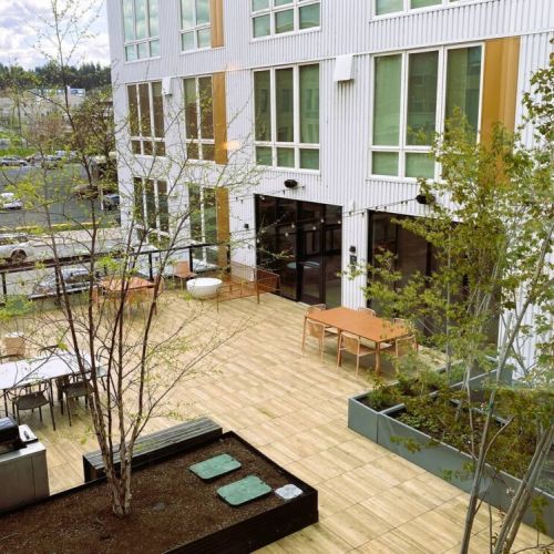 Bird's eye view of the rooftop deck from the kitchen/dining windows.