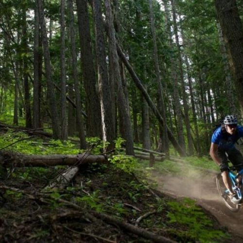 Explore nature's hidden treasures and mountain trails where hiking and biking adventures await.