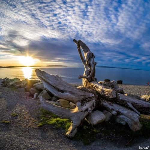 Lincoln Park is a 135-acre park in West Seattle alongside the Puget Sound.