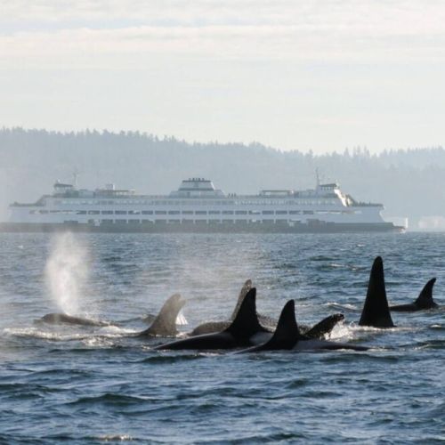 Enjoy the best that the PNW has to offer.