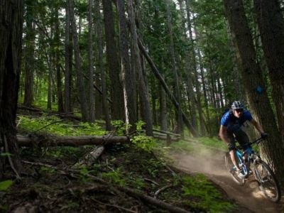 Explore nature's hidden treasures and mountain trails where hiking and biking adventures await.