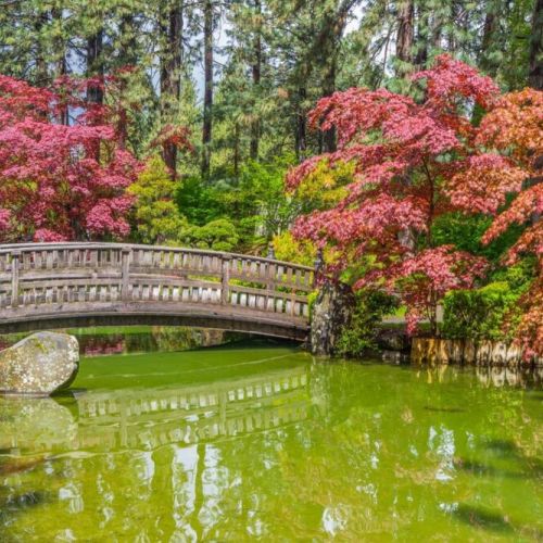 Manito Park is a 90-acre public park with an arboretum, Japanese garden, botanical gardens, and conservatory. 1.6 miles from Downtown Luxe take about 5 minutes to drive.