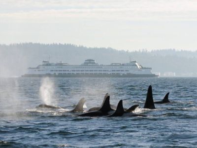 Enjoy the best that the PNW has to offer.