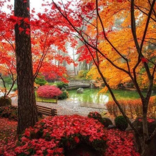 Discover tranquility and serenity at the Nishinomiya Tsutakawa Japanese Garden, a hidden gem in Spokane. 15 minutes away from Songbird Cottage