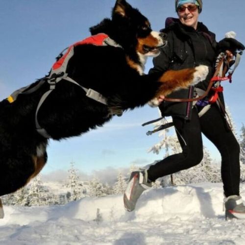 Embrace the enchantment of bright snowy days, where the world transforms into a winter wonderland.