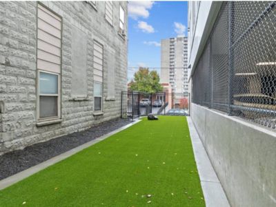 Dog Run for nearby potty breaks on the premise.