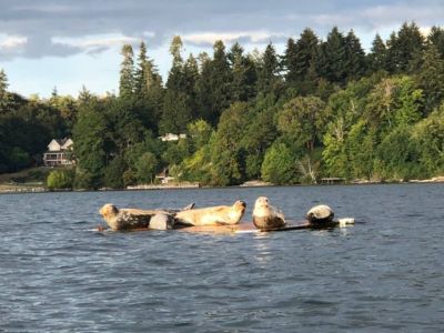 Connect with the wonders of the ocean, making every day a chance to marvel at the beauty of the natural world.