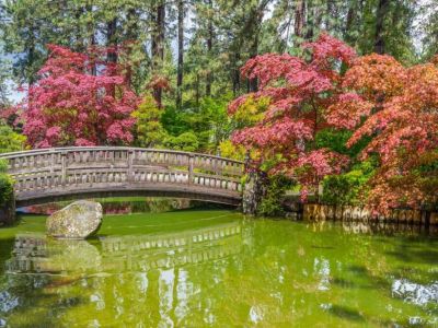 Manito Park is a 90-acre public park with an arboretum, Japanese garden, botanical gardens, and conservatory. 1.6 miles from Downtown Luxe take about 5 minutes to drive.