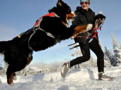 Embrace the enchantment of bright snowy days, where the world transforms into a winter wonderland.