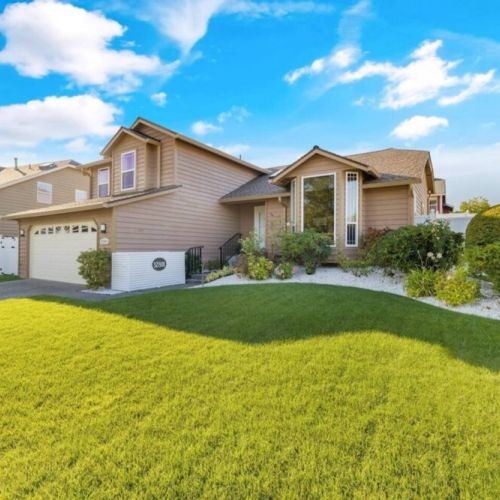 Step into a world of natural beauty and tranquility with this lush green grass, inviting you to kick off your shoes and indulge in the softness underfoot