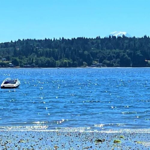 This enchanting house offers a breathtaking view as Mount Rainier peeks over Maury Island, a sight that never fails to captivate and inspire.