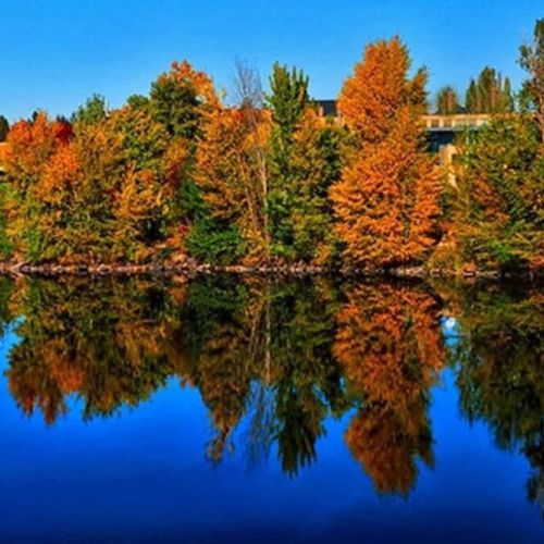 Experience the breathtaking beauty of autumn in Spokane as nature paints the landscape with vibrant hues of red, orange, and gold.