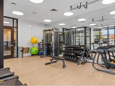 The gym includes many workout options.