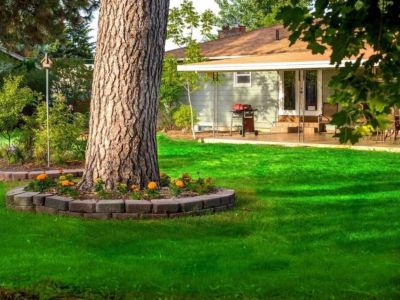 Our huge backyard, offers an ample room to play, explore, and create lasting memories. Relax under the shade of towering trees or indulge in outdoor activities.