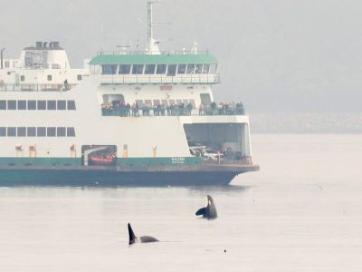 You never know who you will meet along the way...