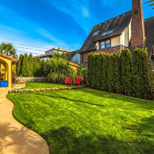 With abundant room to roam, the expansive green expanse becomes a haven for both peaceful solitude and cherished memories.