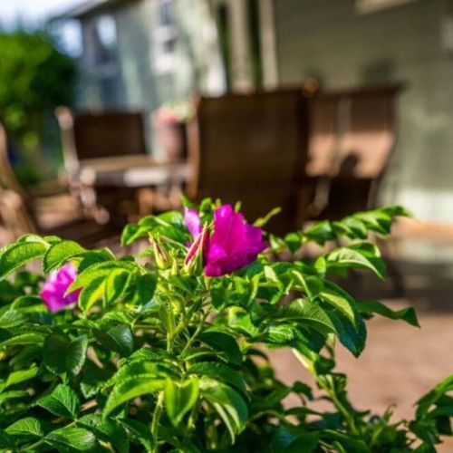 Savor the beauty of outdoor dining as you embrace the delightful experience of dining al fresco. Set against a backdrop of nature's splendor, enjoy a delicious meal in the open air, surrounded by lush greenery.