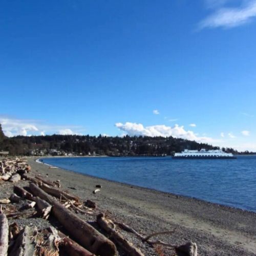 View of Fauntleroy Ferry to Vashon Island from Lincoln Park