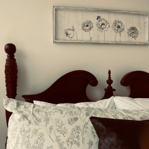 Eco-Friendly BnBs' modern classic design will make you feel right at home.