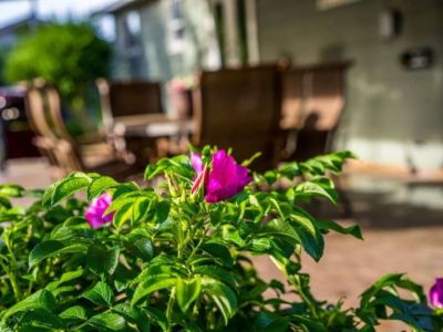 Savor the beauty of outdoor dining as you embrace the delightful experience of dining al fresco. Set against a backdrop of nature's splendor, enjoy a delicious meal in the open air, surrounded by lush greenery.