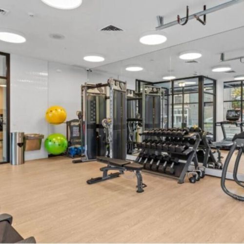 The gym includes many workout options.