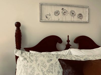 Eco-Friendly BnBs' modern classic design will make you feel right at home.