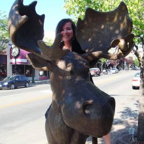 30-minute drive away is a magnificent moose along the avenue in downtown Coeur d'Alene.