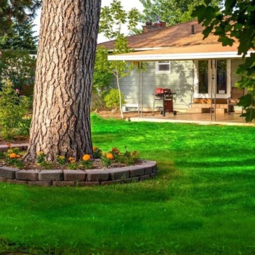 Our huge backyard, offers an ample room to play, explore, and create lasting memories. Relax under the shade of towering trees or indulge in outdoor activities.