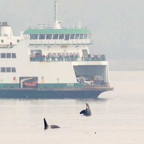 You never know who you will meet along the way...